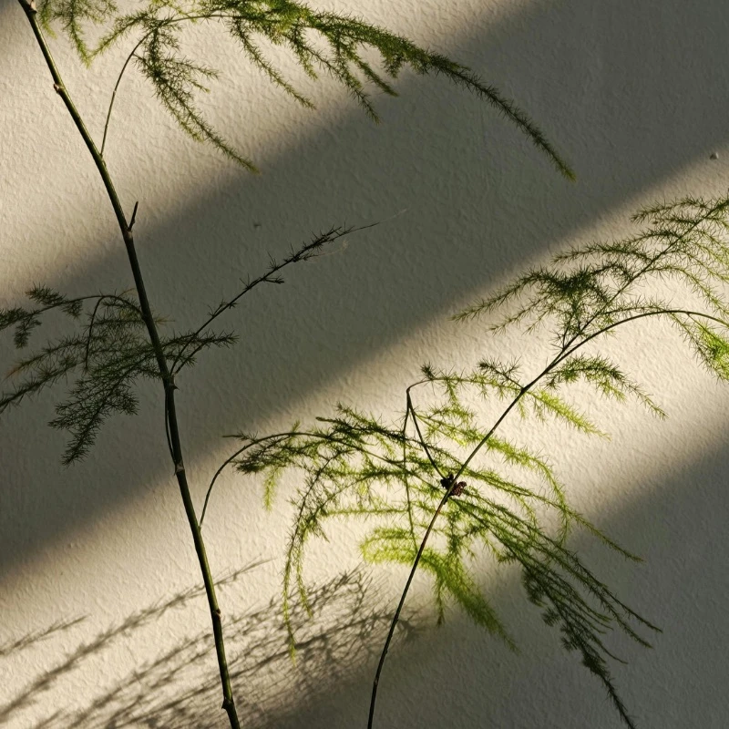 喚醒